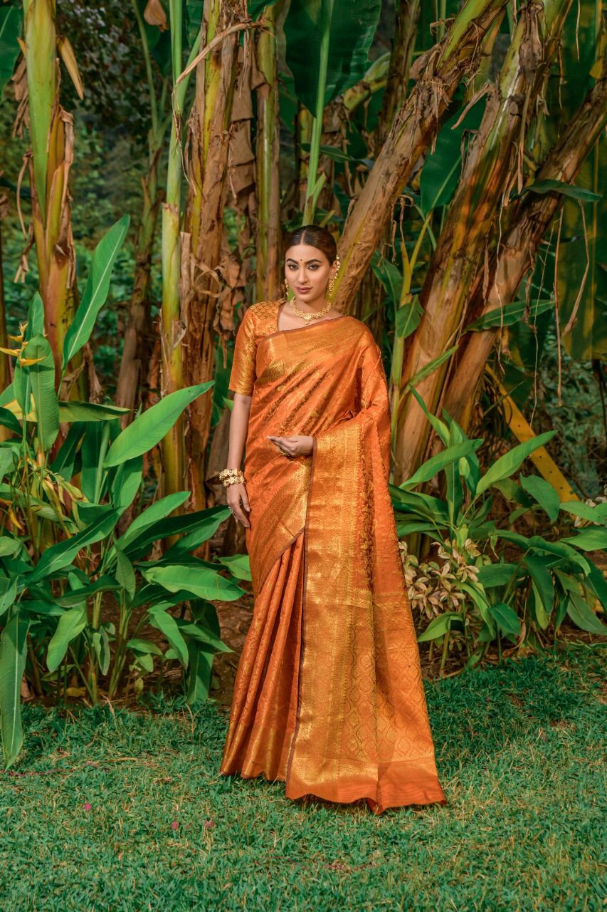 Mandakini Silk 3 Lichi Silk Designer Sarees Catalog